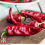 Chilli Pepper 'Anaheim' (Moderately Hot) - Seeds