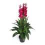 100cm Artificial Cymbidium Orchid Plant - Extra Large - Dark Pink Flowers