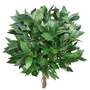 120cm (4ft) Plain Natural Trunk Artificial Topiary Bay Laurel Ball Tree