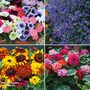Summer Bedding Saver Collection