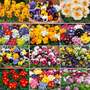 Winter Bedding Super Saver