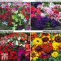 Best Bedding Collection