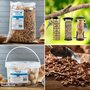 Happy Beaks - Bird Feeder Triple Pack and Feed Bundle