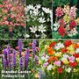Summer Saver Bulb 135 Collection