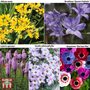 100 Days of Colour Collection