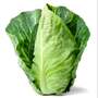 Cabbage Pointed Continuity Duo