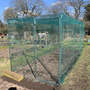 Walk In Fruit And Vegetable Cages Green Bird Netting