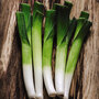 Organic Leek 'Carentan' - Seeds