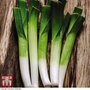Organic Leek 'Carentan' - Seeds