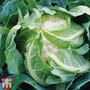 Cauliflower 'Sapporo'