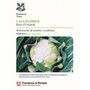 Cauliflower 'Boris' F1 Hybrid (National Trust)
