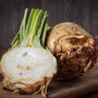 Celeriac 'Mars' - Seeds