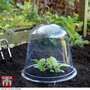 Garden Gear - Bell Cloche