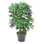 55cm Dark Green Artificial Schefflera Arboricola Plant