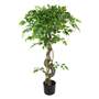 120cm Twisted Trunk Artificial Japanese Fruticosa Style Ficus Tree