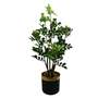 60cm Artificial Aglaia Odorata Bonsai Ficus Tree