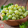 Gooseberry 'Hinnonmaki Green'