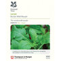 Wasabi Rocket (National Trust)