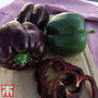 Sweet Pepper 'Ingrid' - Seeds