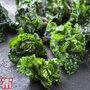 Kalettes®