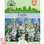 Lupin 'Dwarf Fairy Pink' - Kew Collection Seeds