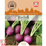 Radish 'Amethyst'- Kew Collection Seeds