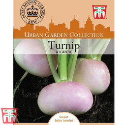 Turnip 'Atlantic' - Kew Collection Seeds