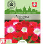 Verbena x hybrida 'St George' - Kew Collection Seeds