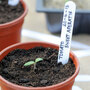 Garden Essentials - Plastic Label Holder