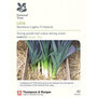 Leek 'Northern Lights' F1 Hybrid (National Trust)