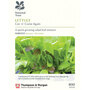 Lettuce 'Valmaine' (Romaine/Cut And Come Again) (National Trust)