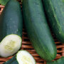 Cucumber 'Marketmore' - Seeds