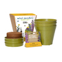 Seedball Bamboo Pots - Bee Mix