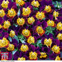 Viola hybrida 'Miniola Heart Purple' - Seeds