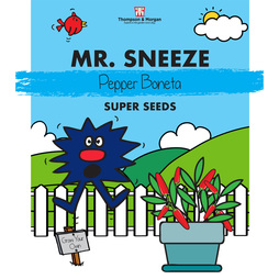 Mr. Men? Little Miss? - Mr. Sneeze - Pepper 'Boneta' - Seeds