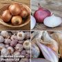 Onion, Shallot & Garlic Saver Pack