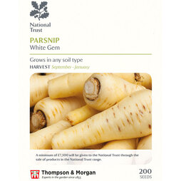 Parsnip 'White Gem' - National Trust Seeds