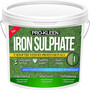 ProKleen Iron Sulphate Grass Green Lawn Tonic Feed Soluble Damp Grade 1KG