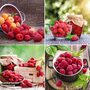 Raspberry Growers Choice
