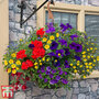 Red, Blue and Yellow Collection