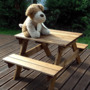 Little Fella's Picnic Table Gold