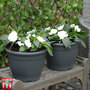 Patio Planter Sabina Dark Grey