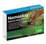 Slug Nematodes Treat Nemaslug 100 Sqm