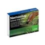 Slug Nematodes Treat Nemaslug 40 Sqm