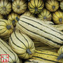 Squash 'Honeyboat' (Winter)