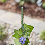 Garden Gear - Plant Support Canes