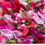 Sweet Pea 'Top to Bottom Pink Mix'