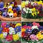 Ultimate Winter Bedding Collection