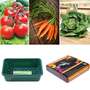 Veg Seed Starter Bundle