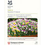 Viola x williamsiana 'Sweeties' - National Trust Seeds